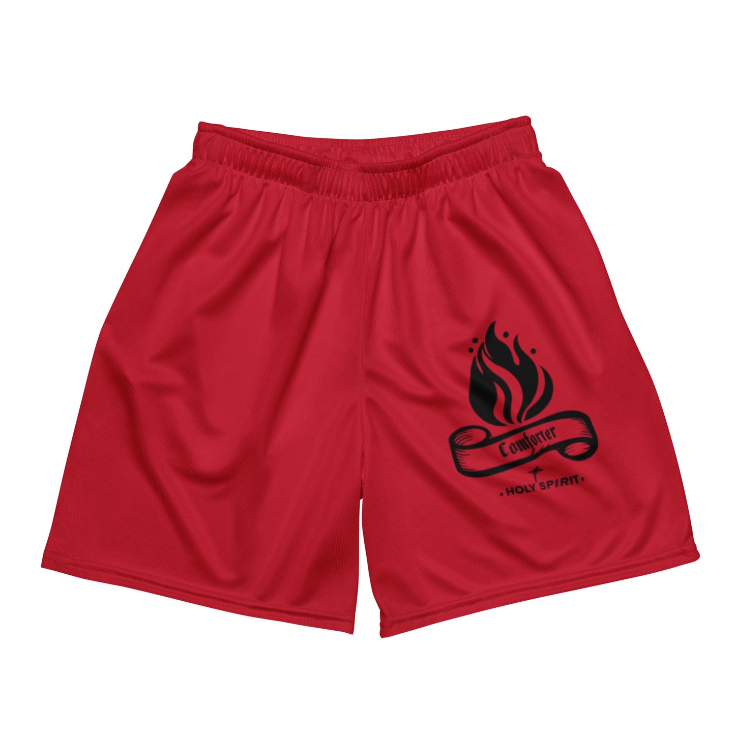 Comforter HOLY SPIRIT mesh shorts