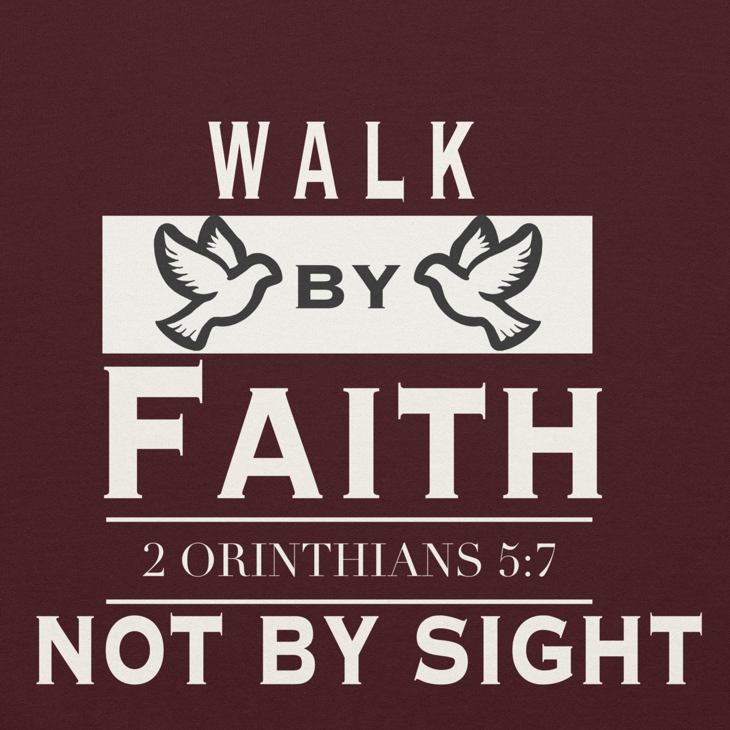 WALK BY FAITH and NOT BY SIGHT hoodie