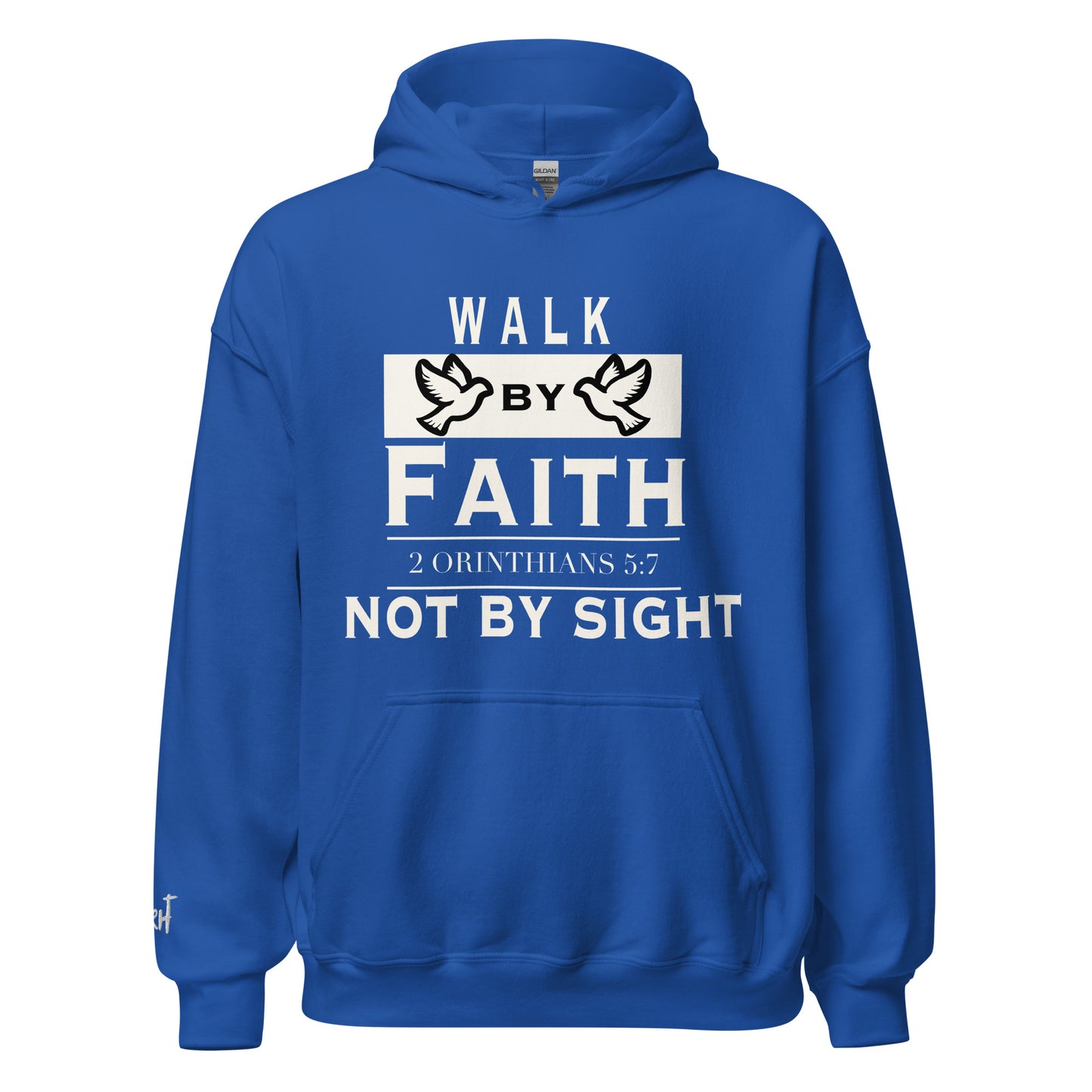 WALK BY FAITH and NOT BY SIGHT hoodie